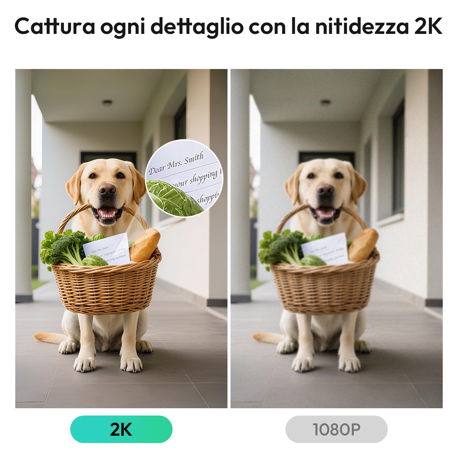 Botslab videocitofono WiFi 2K bianco IP66