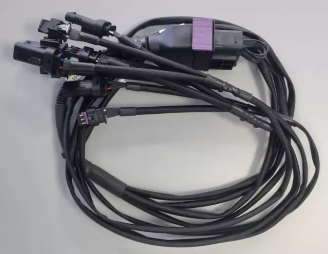 Powerking T05SX4 cablaggio per centralina vergine 4 vie