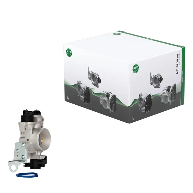 NTK TBM3-D049 corpo farfallato auto precalibrato